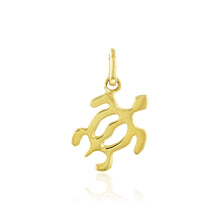 Load image into Gallery viewer, Small Petroglyph Turtle - Philip Rickard