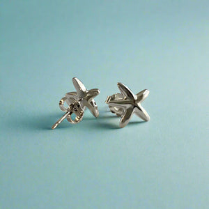 Starfish Earrings with Post in 14K White Gold