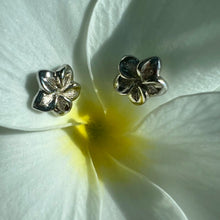 Load image into Gallery viewer, Hawaiian Engraved Plumeria Pierced Earrings
