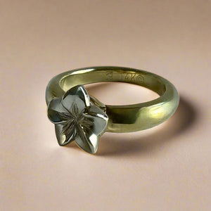 Two-tone Simply Romantic Ring in 14K Gold