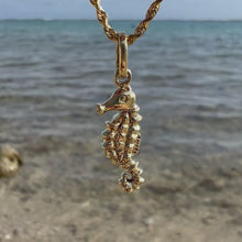 Load and play video in Gallery viewer, Hawaiian Jewelry seahorse pendant 
